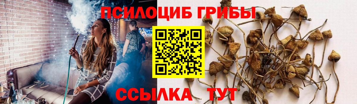 Псилоцибиновые грибы мухоморы Кудымкар