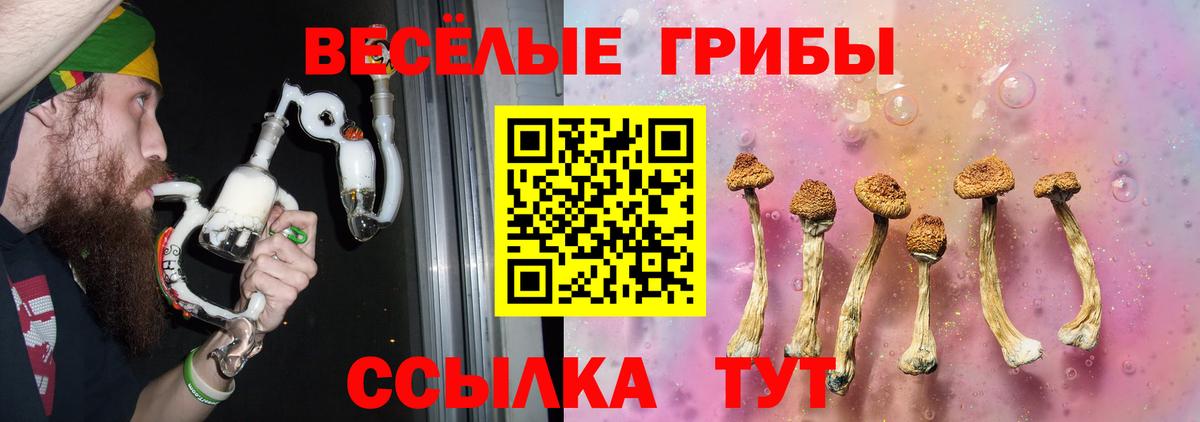 Псилоцибиновые грибы мухоморы  Псилоцибиновые грибы Psilocybe  Кудымкар  Вход с VPN 